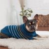 GF Pet - Arctic Sweater - Teal - 2XS