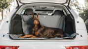 Waterproof SUV cargo cover to protect from pet hair, water & dirt - Grey