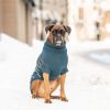 GF Pet - Arctic Sweater - Teal - XS