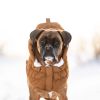 GF Pet - Arctic Parka - Wood - S