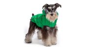 Elasto-FIT Reversible Raincoat w/ Designer Lining - Green