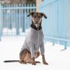 GF PET 4-Way Stretch Micro Polar Fleece Base Layer w/ front legs - Charcoal