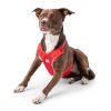 No-choke, breathable, comfortable mesh travel harness - Red