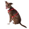 No-choke, breathable, comfortable mesh travel harness - Red