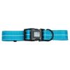 Durable Nylon Reflective Dog Collar w/ White Contrast Stitching - Neon Blue